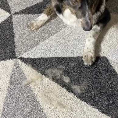 Fur B-Gone™ Pet Hair and Lint Remover Glove - Buy One Get One Free