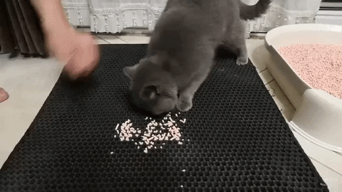 Purrfect Litter™ Mat