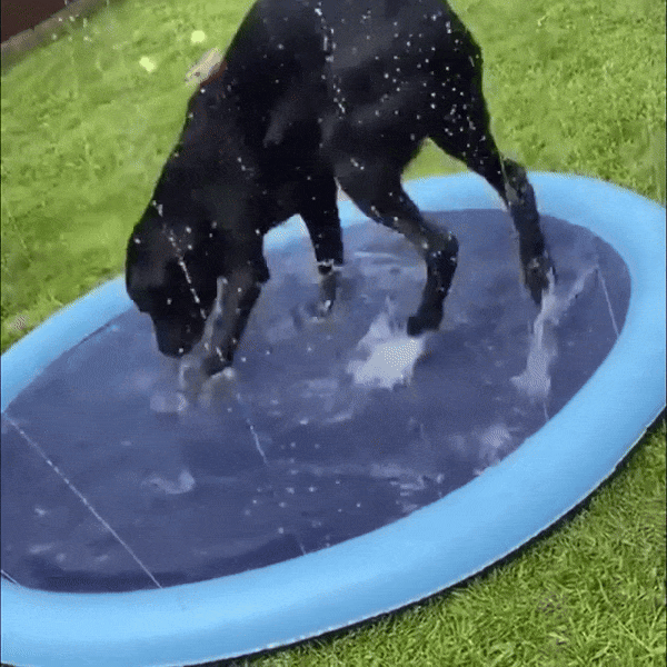 PupNPals Cool Splash Pad