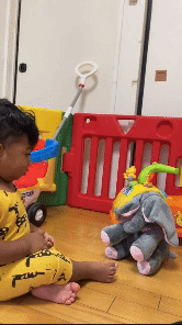 Cuddly Peek a Boo Elephant Playmate
