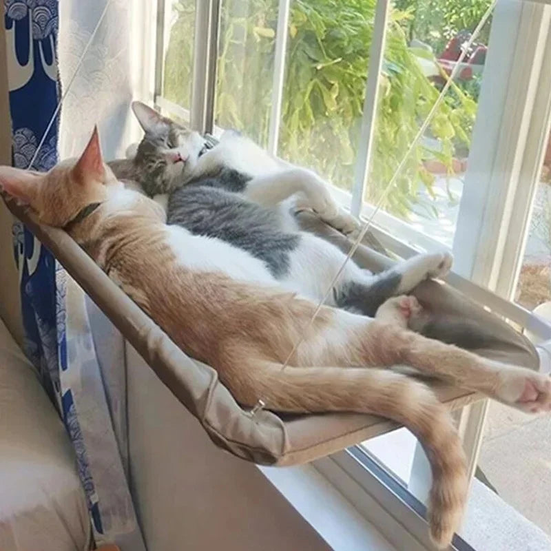 Sunny Cat Hammock Bed